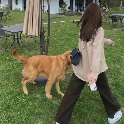 没人的孩子