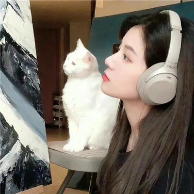 女人的面孔